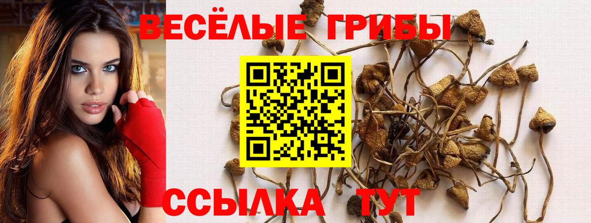 Вейп ТГК Спасск-Дальний