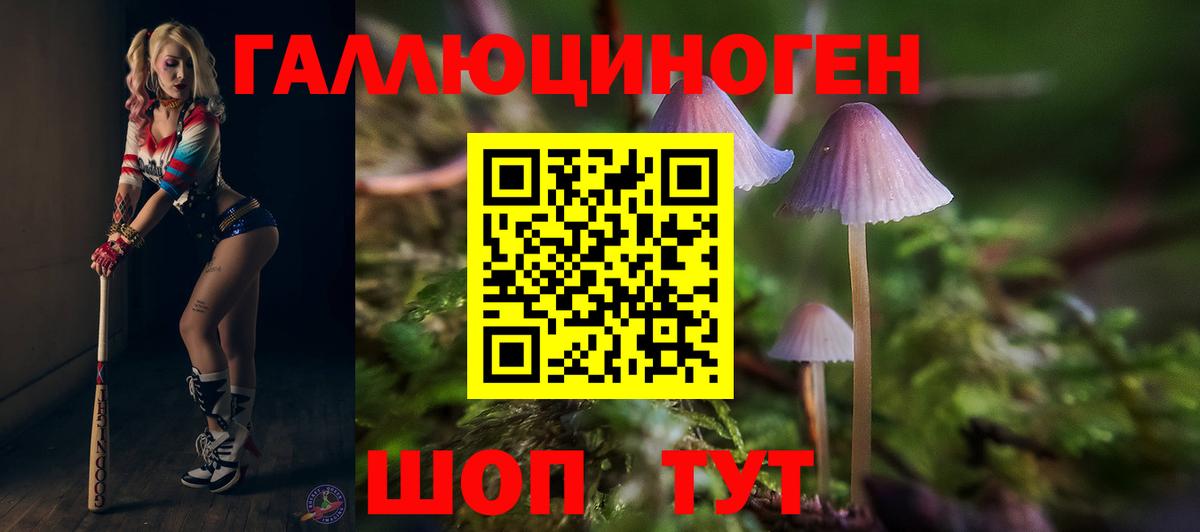 Псилоцибиновые грибы Magic Shrooms  Вход с VPN  Спасск-Дальний 